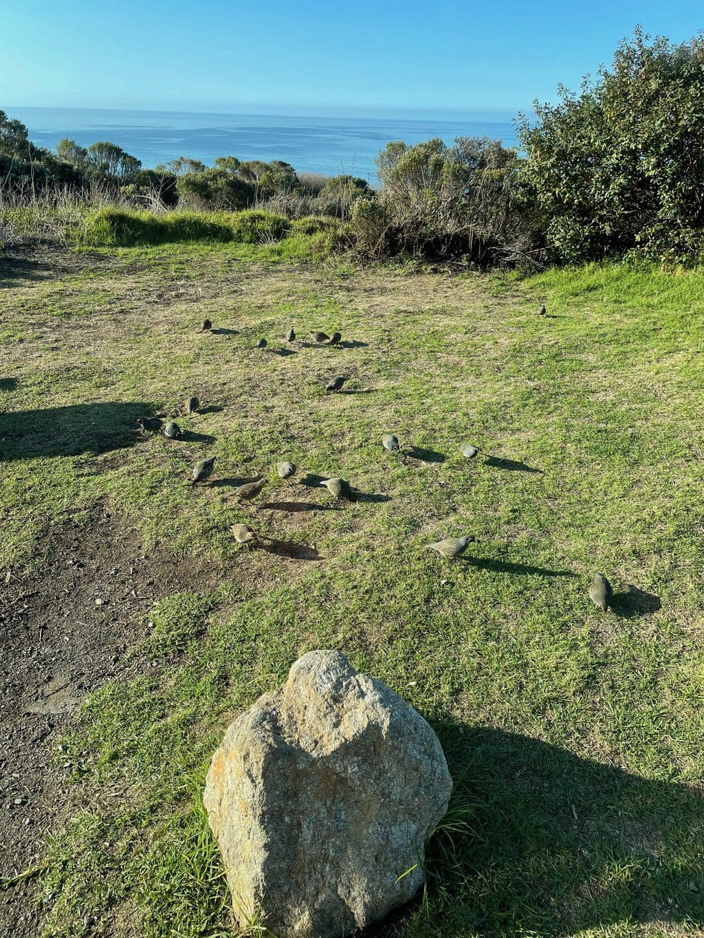 Highway 1 - Oiseaux Kirk Creek Camping