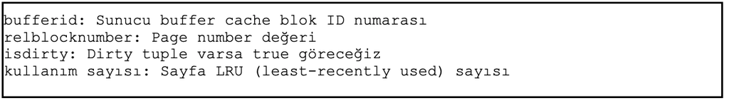 PostgreSQL buffer cache alan tanımları (bufferid, relblocknumber, isdirty, kullanım sayısı)