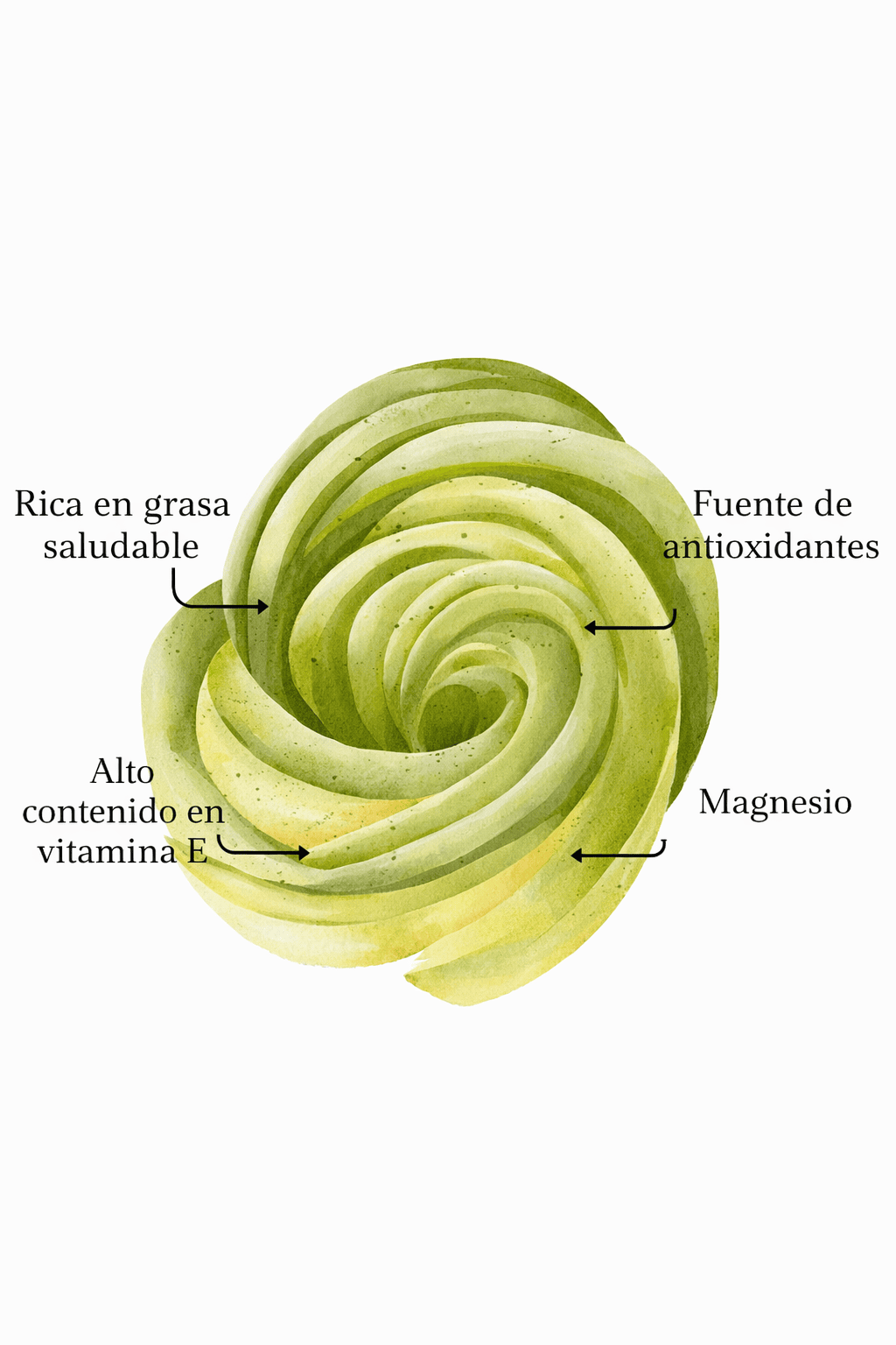 productores de aguacate en origen