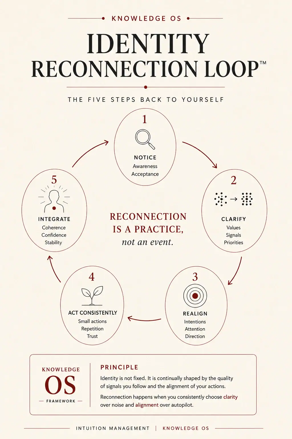 Identity Reconnection Loop showing notice, clarify, realign, act consistently, and integrate