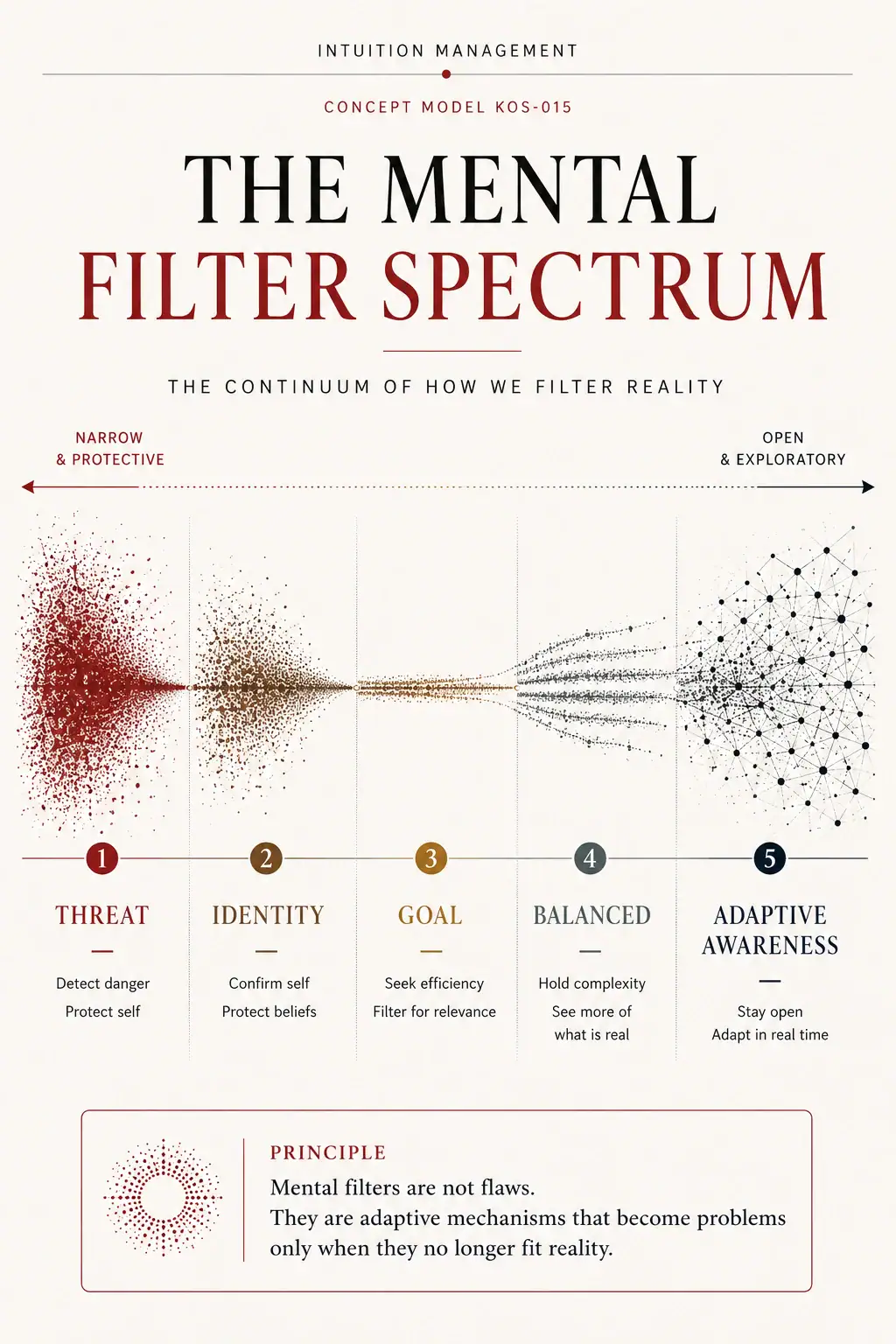 The Mental Filter Spectrum shows movement from narrow protective filtering toward balanced and adaptive awareness.