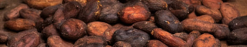 cacao bean in perfume