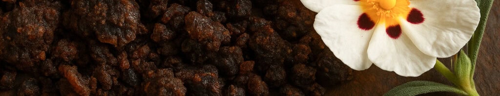 labdanum resin in perfume