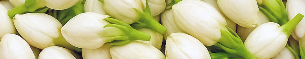 green jasmine accord in perfume