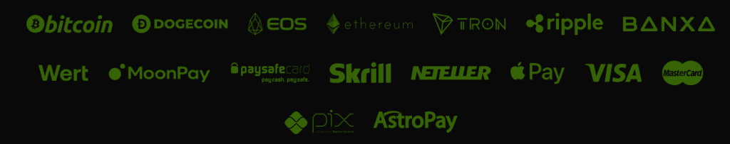 el patron payment options