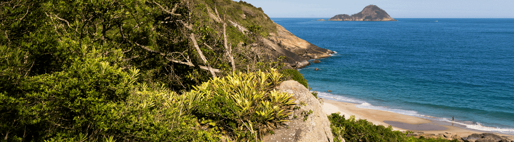 Projeto e monitoramento de recuperação de área degradada em ambiente de restinga
