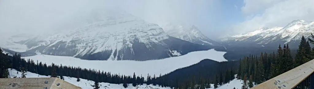 Ausblick Peyto Lake Kanada