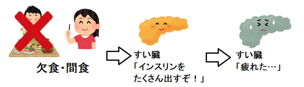 食事のタイミングによる膵臓の様子
