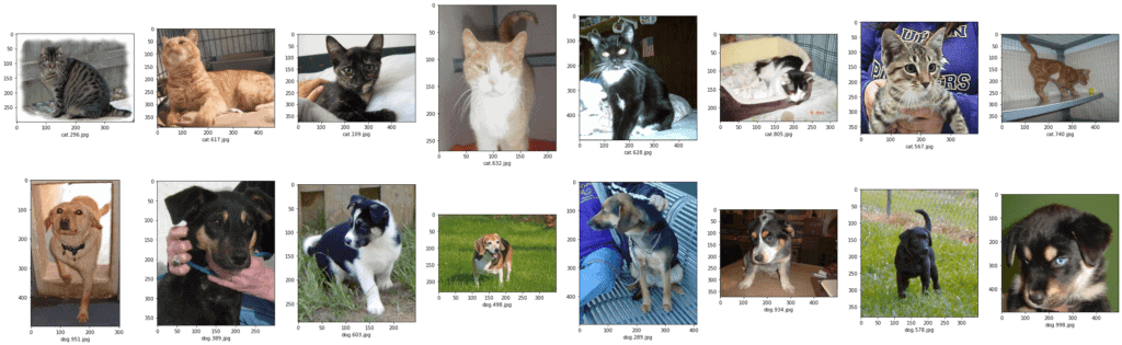 classifying cats and dogs convolutional neural networks