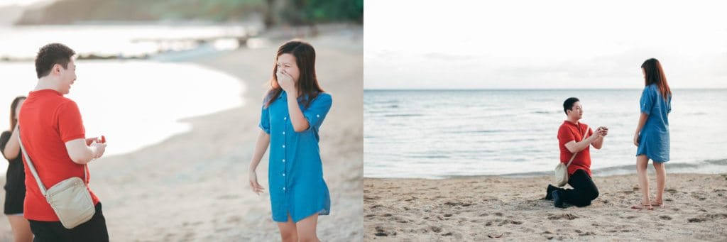 Dream Proposal, Moki Gray, Paper Project