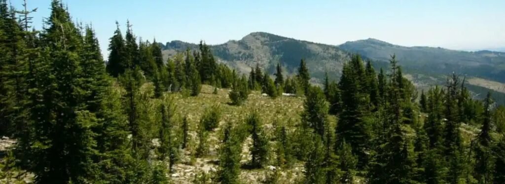 Plain 100 vue parcours