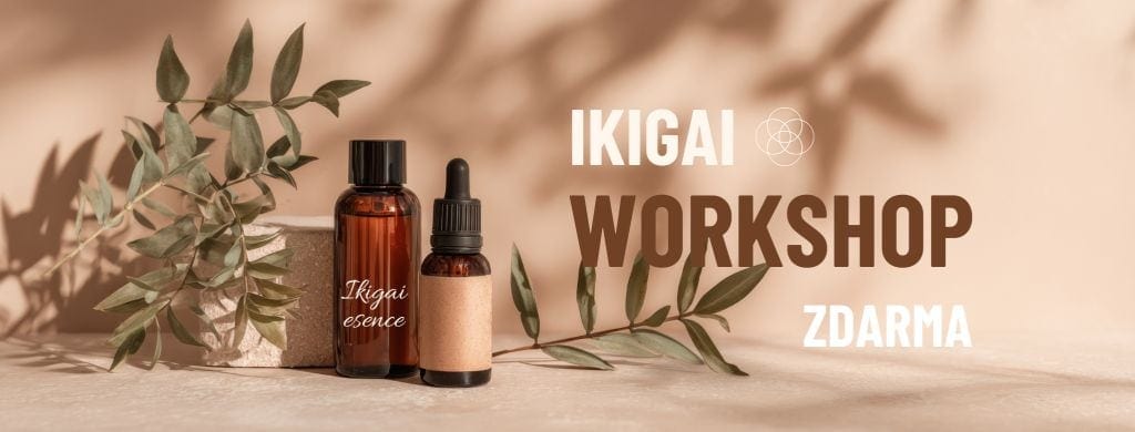 Ikigai workshop_zdarma