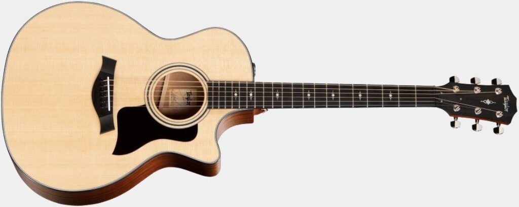Présentation de face de la guitare Taylor 314CE Natural