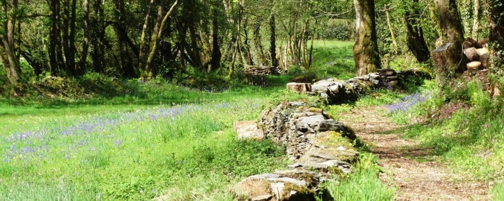 Enjoy this beautiful valley