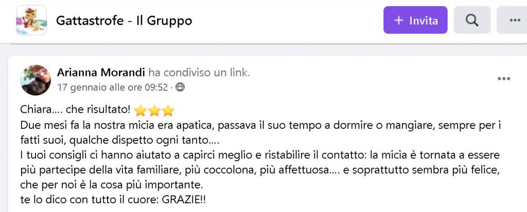 Recensione Gattastrofe Arianna Morandi