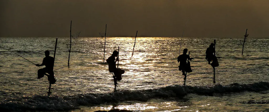 headerslider srilanka