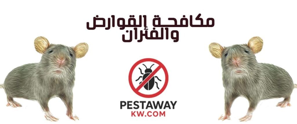 مكافحة القوارض مكافحة القوارض