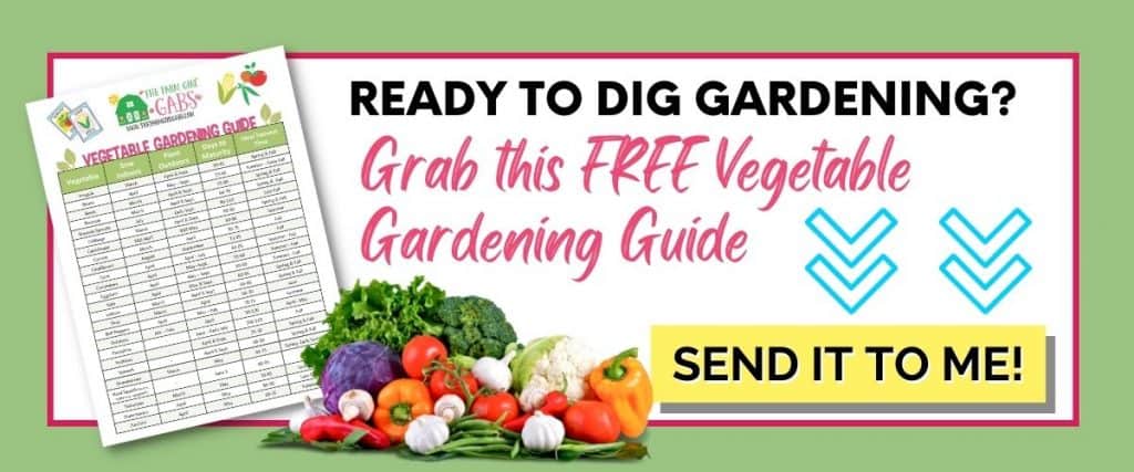 Free gardening printable. Download this printable vegetable gardening guide.