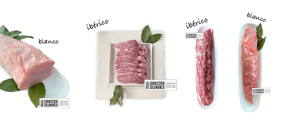 blanco-ibérico