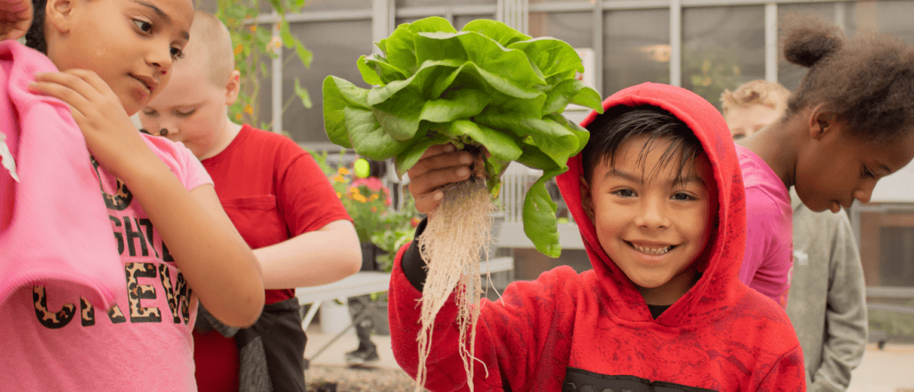 Children at the farm picking vegetables