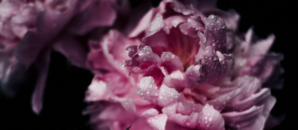 Scent Marketing Solutions Mood Media & ScentAir Scent Marketing Solutions