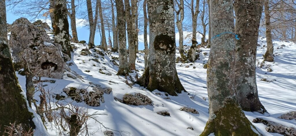 Paesaggi invernali sulle montagne vicino Roma