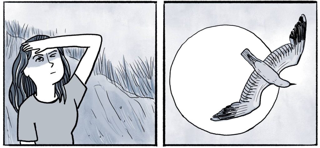ducks kate beaton volo