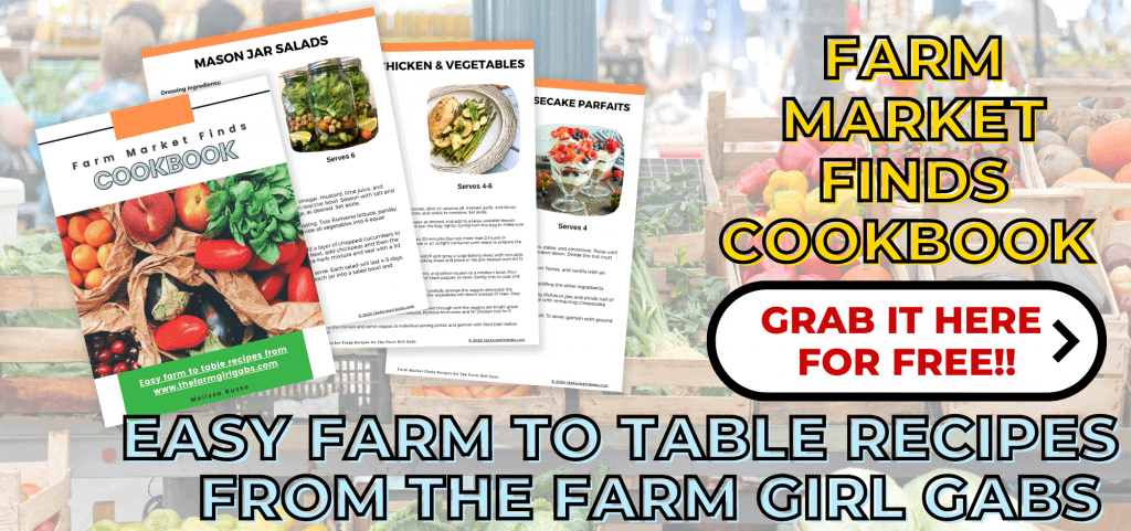 Free farm to table cookbook from the farm girl gabs Melissa Russo