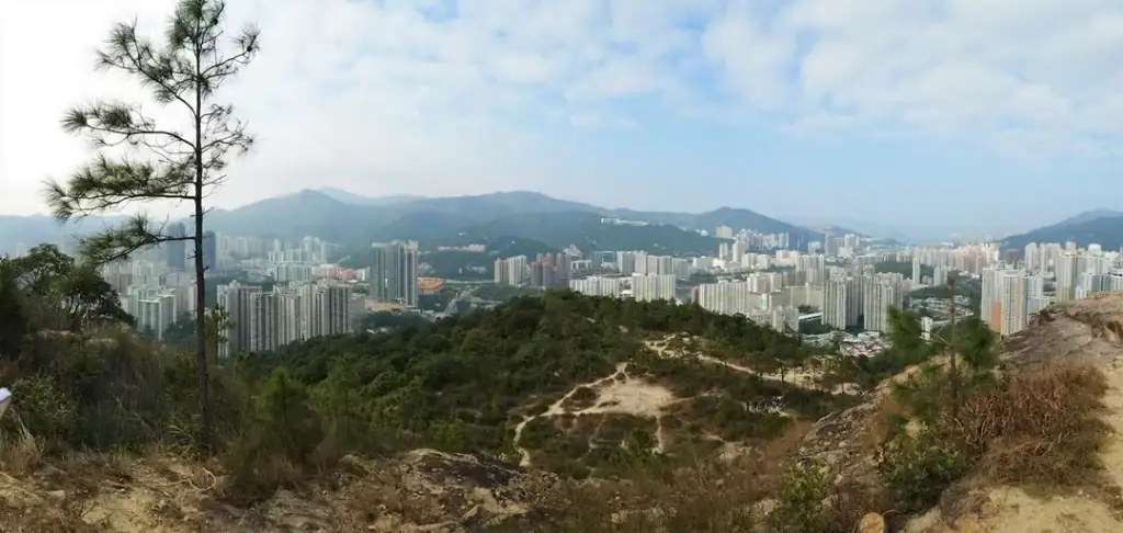 蝌蚪坪