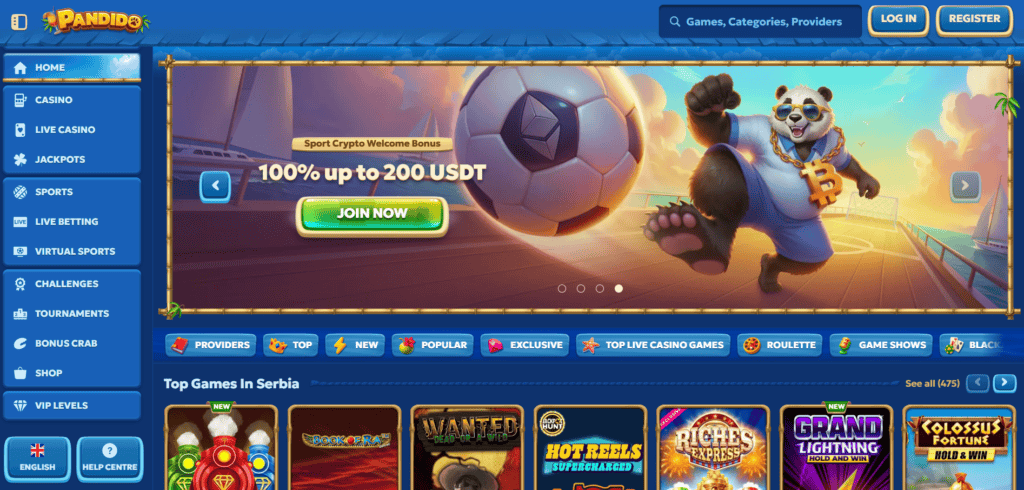 pandido home page - pandido review