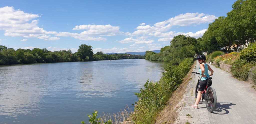 Radweg am Main in Frankfurt