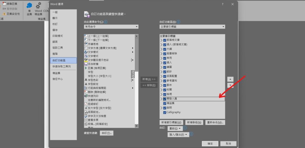 word 開發人員