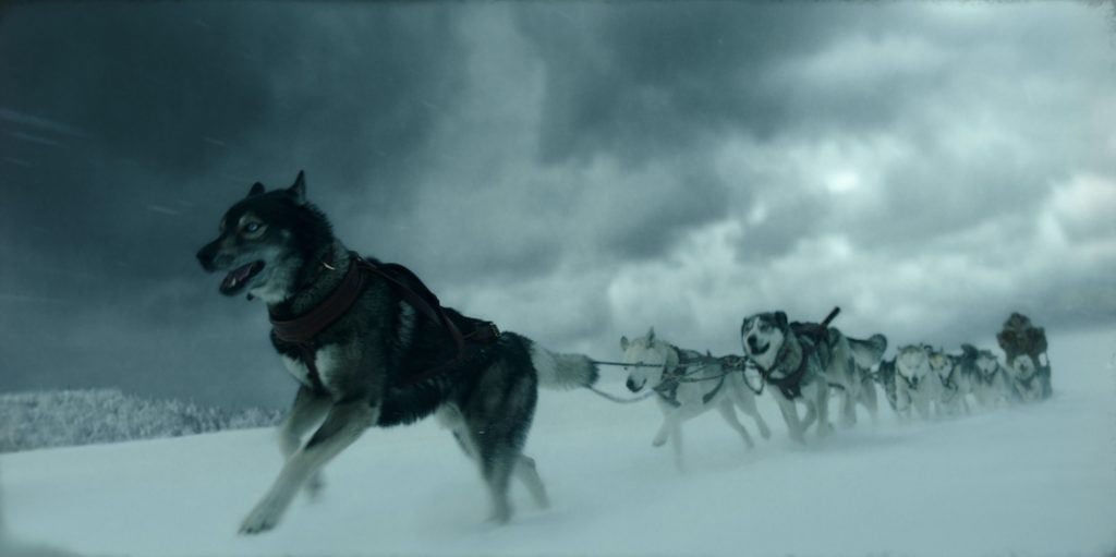 togo disney+ cani da slitta