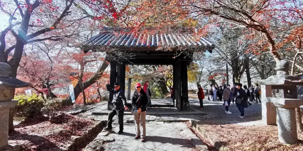 秋月城跡 紅葉