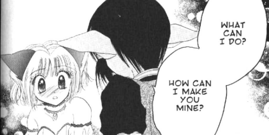 tokyo mew mew quiche ichigo