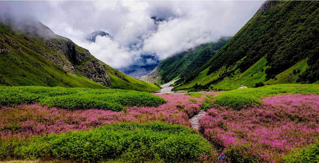 उत्तराखंड की फ्लावर वैली
