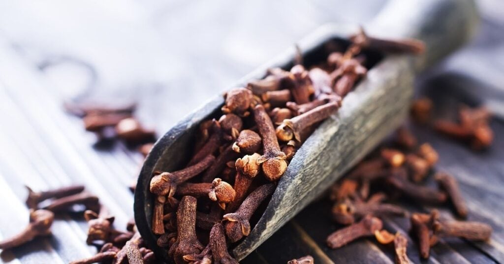 กานพลู Clove สมุนไพรเสริมภูมิคุ้มกัน