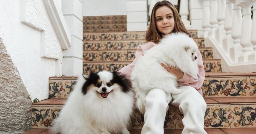 behind the scenes facts about beverly hills chihuahua cast 