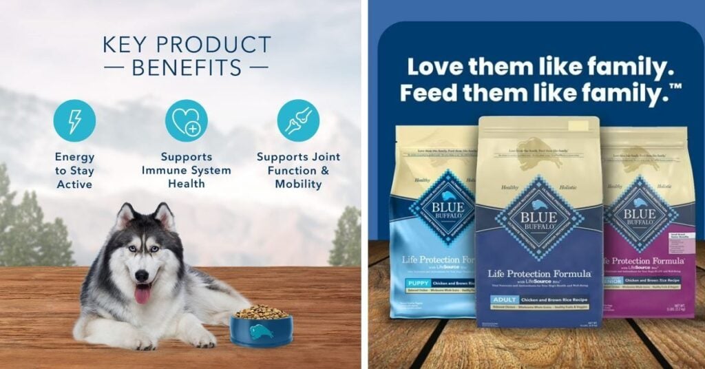 best blue buffalo dog food products (top picks) (1)