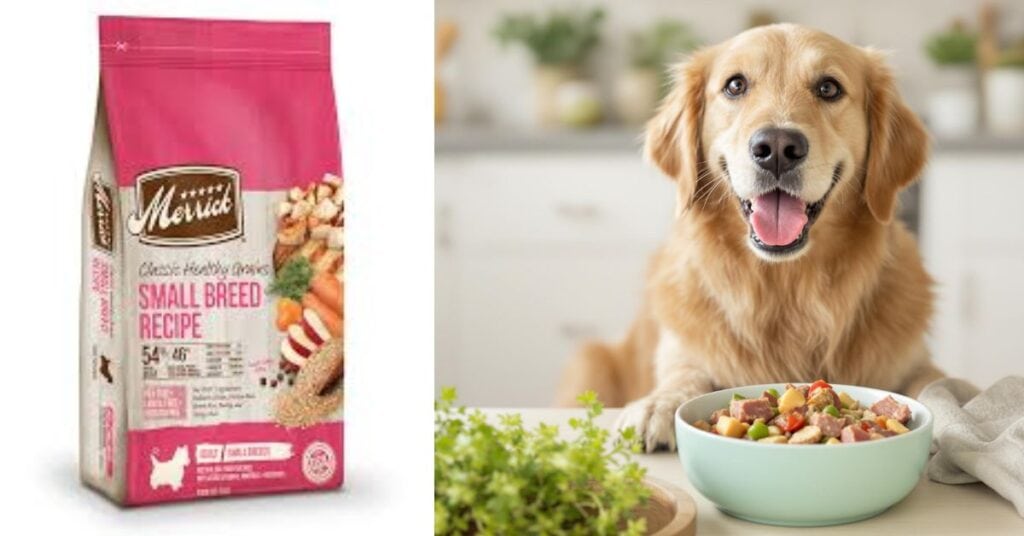 Helping Your Dog Live a Healthier, Happier Life