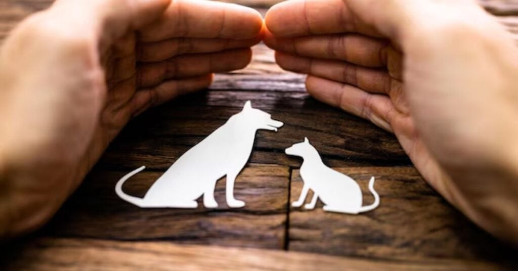 animal advocacy behind the brand’s quality