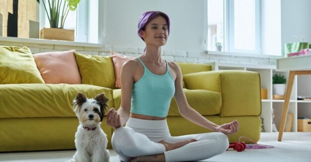 exercise needs of a yorkie poo and mental stimulation