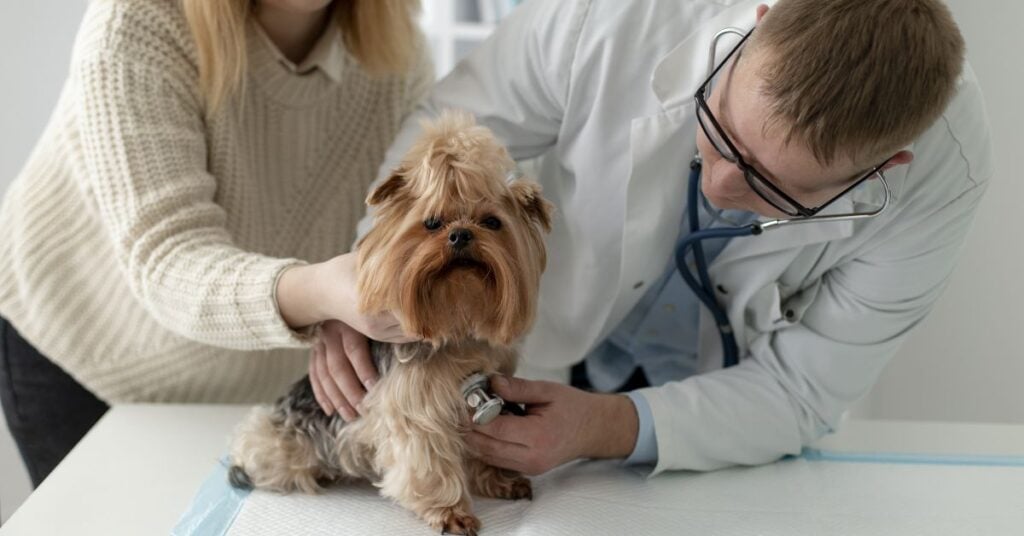 health issues and their impact on lifespan