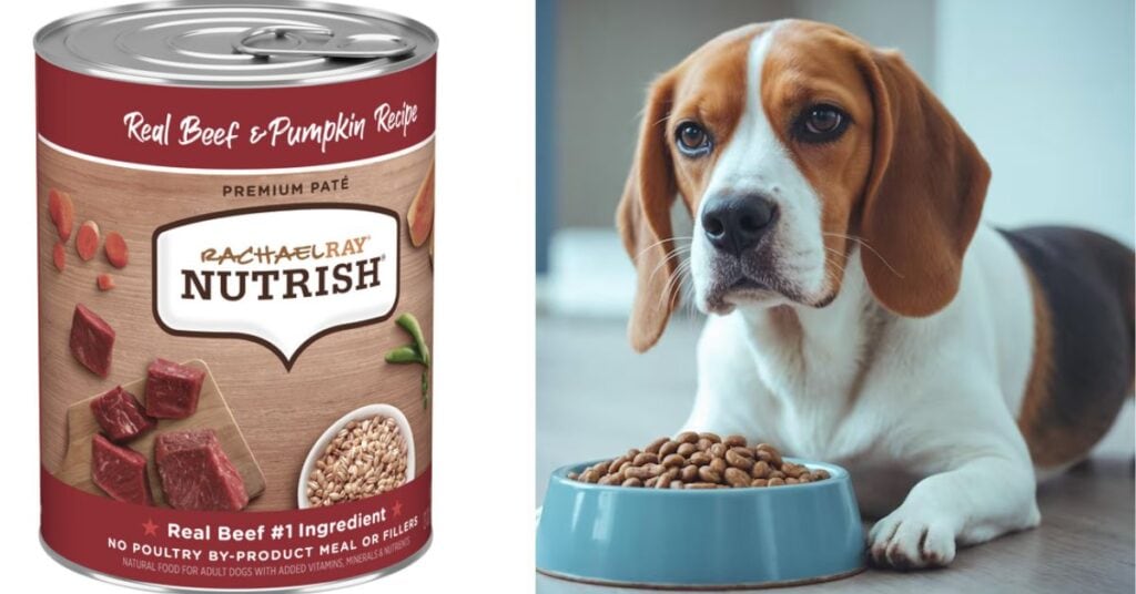 rachael ray dog food review and full analysis
“Golden Retriever eating dry dog food from bowl