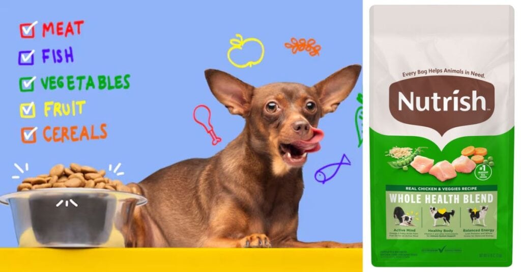 recall history and safety ratings of pet foods
