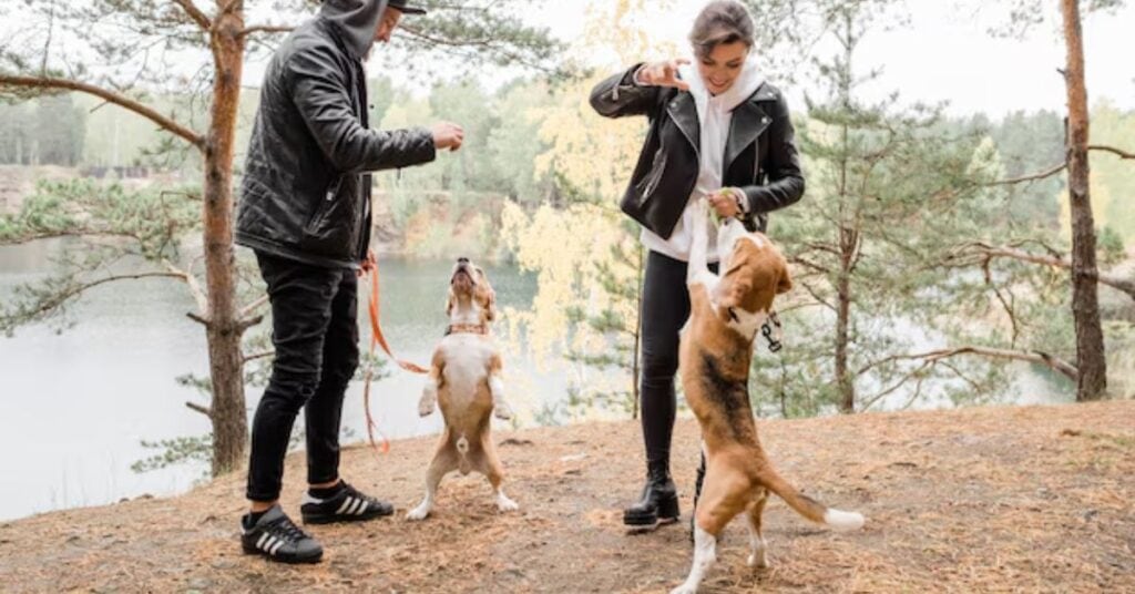 training tips for small hybrid dogs