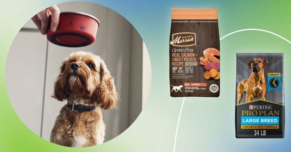 Helping Dogs Cope with Stressful Situations