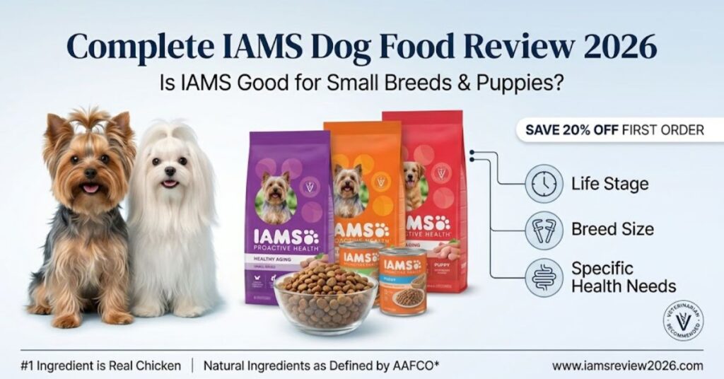 Is Iams a Good Dog Food? Complete IAMS Dog Food Review 2026 how to choose the best iams formula for your dog