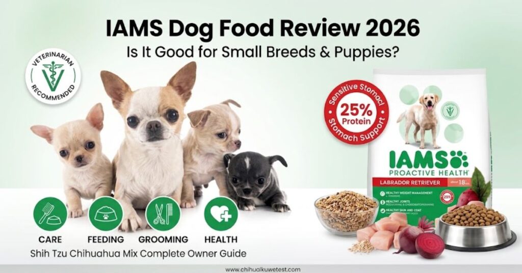 Is Iams a Good Dog Food? Complete IAMS Dog Food Review 2026 is iams good for dogs with sensitive stomachs or allergies