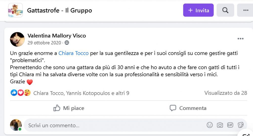 Recensione Gattastrofe Valentina Mallory Visco 29-10-2020